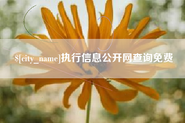 白银执行信息公开网查询免费