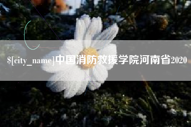 白银中国消防救援学院河南省2020